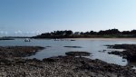 pêche à pied